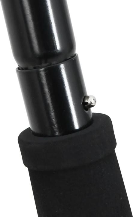 Actual product image VidaXL Pitchfork with 14 tines