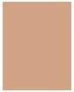 Image du produit Sisley Sisleya Le Teint No 2R (2C1 Organza)
