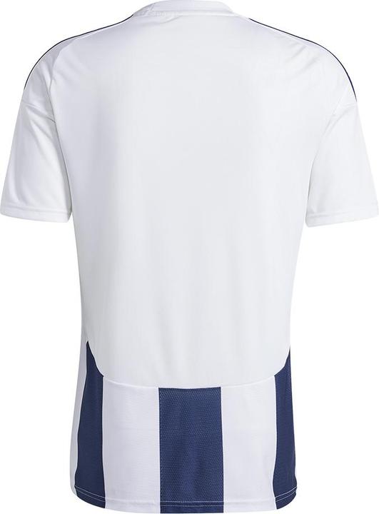 Actual product image adidas Striped 24 Jersey (3XL)