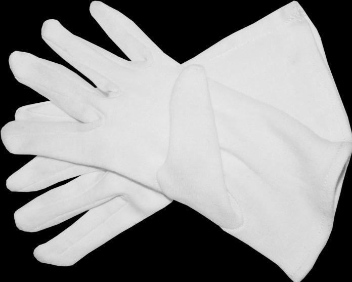 Immagine prodotto Guanto in cotone bianco (paio) taglia M (8), lunghezza 24 cm (M)