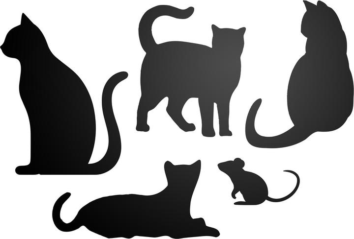 Actual product image Trendform Selbstklebende Haftfläche ELEMENT FLEX CAT (Bulletin board)