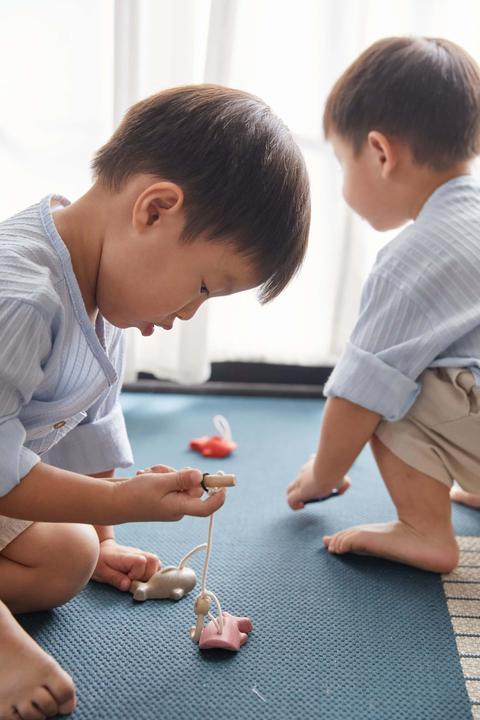 Actual product image Plantoys Fishing game (English, German, French, Italian, Swiss German)