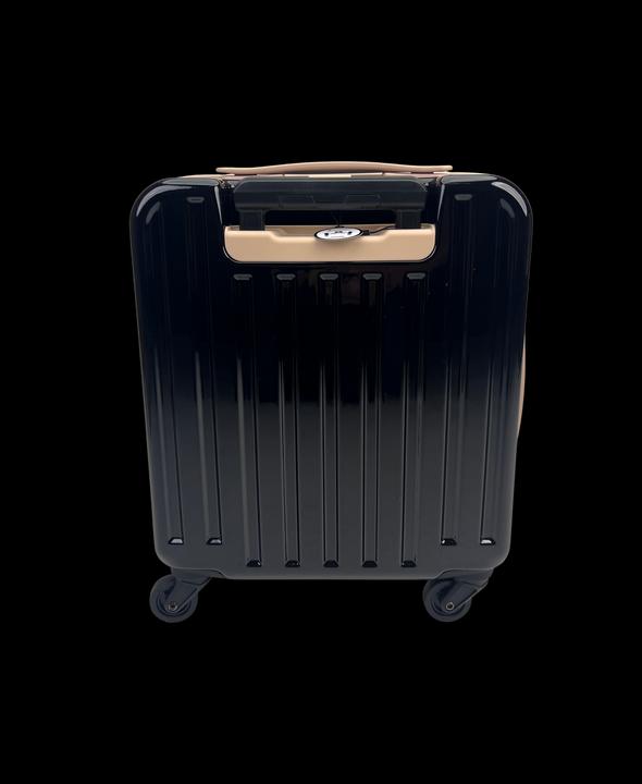 Actual product image Swissbags Cosmos Deluxe (30 l, Hand luggage (up to 50 litres))