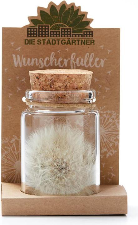 Produktbild Natura Punto Pusteblume (Ø 4 x 8 cm)