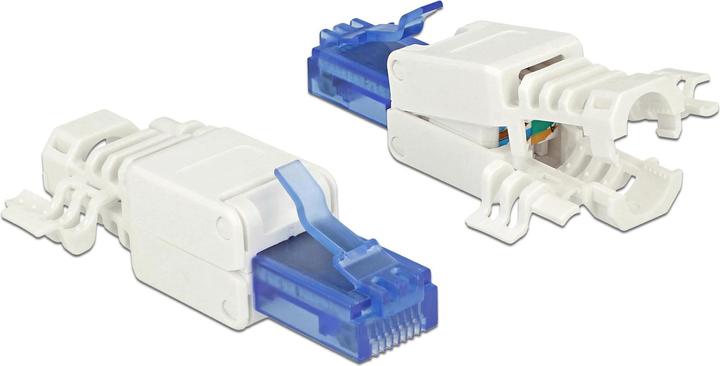 Delock RJ45 Stecker, UTP, Cat.6A, 2 Stück (Netzwerkkabel Stecker)