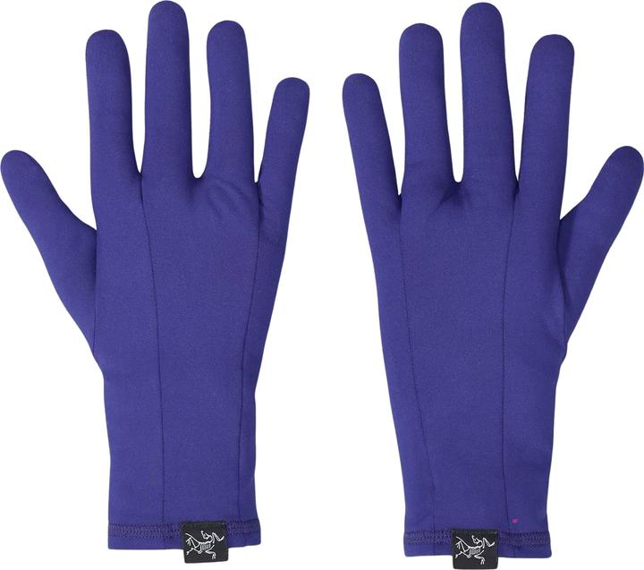 Image du produit Arc'teryx Rho (M)