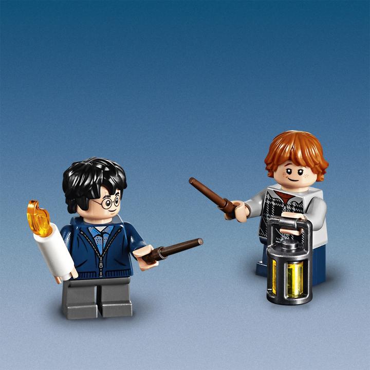 Immagine prodotto LEGO Il nascondiglio di Aragog (75950, LEGO Harry Potter)