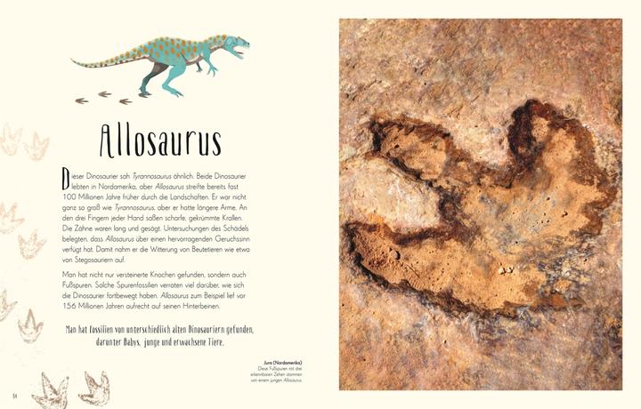 Actual product image Wundervolle Welt der Dinosaurier und der Urzeit (German, Anusuya Chinsamy-Turan, 2022)