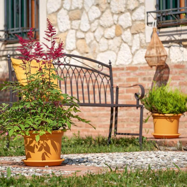 Immagine prodotto Euro3plast Fioriera GEO Ø 30 cm giallo mango (30 cm)