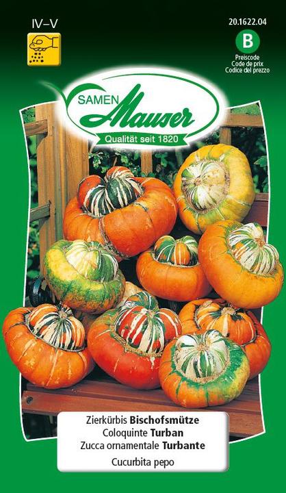 Courge d'ornement Bonnet d'évêque (Graines de légumes)