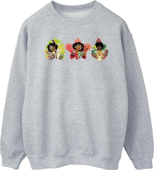 Actual product image Disney Mens Encanto Family Line Sweatshirt (XL)
