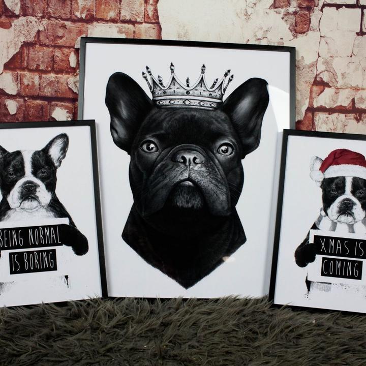 Produktbild Trenddeko King French Bulldog (24 x 30 cm)