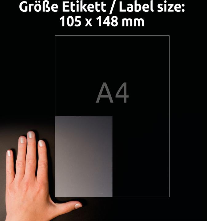 Actual product image Avery AVZ L8013-10 Antimicrobial labels 105x148mm transparent