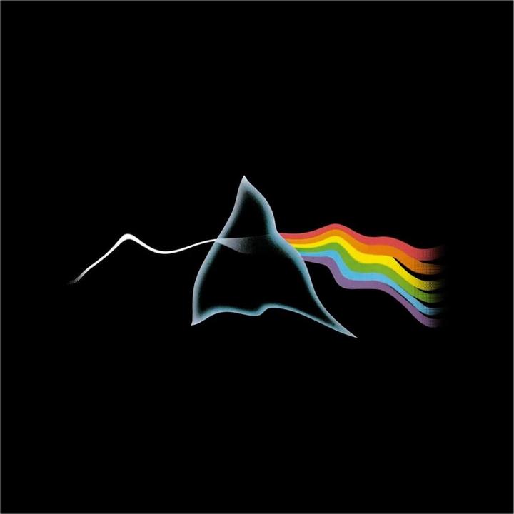 Image du produit Pink Floyd - T-shirt - Adulte (M)