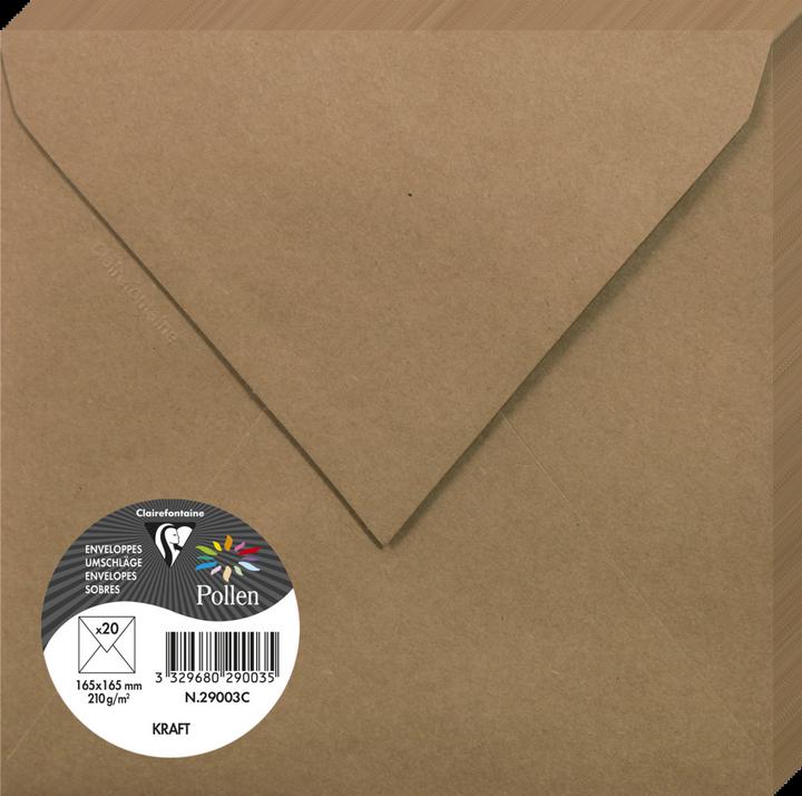 Actual product image Pollen Envelopes (165 x 165 mm, 20 x)