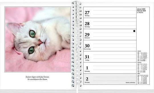 Produktbild Schmusekatzen Fotokalender 2025 (17 x 20 cm, Deutsch)