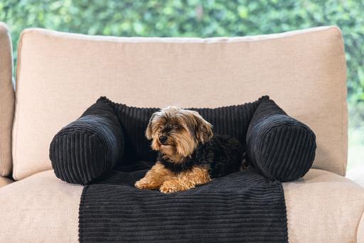 Produktbild Designed by Lotte Ribbed (Hund)