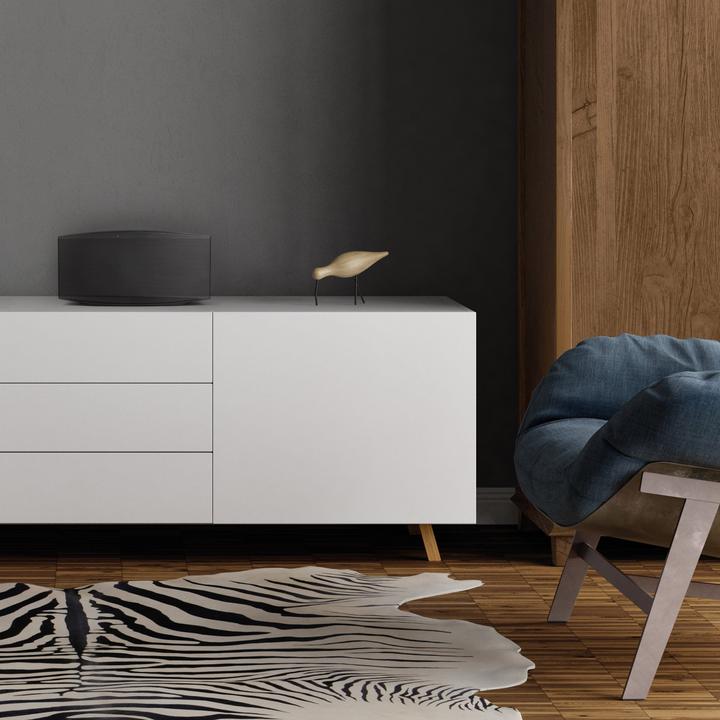 Actual product image Blaupunkt Mr 100 (Wi-Fi, Bluetooth)