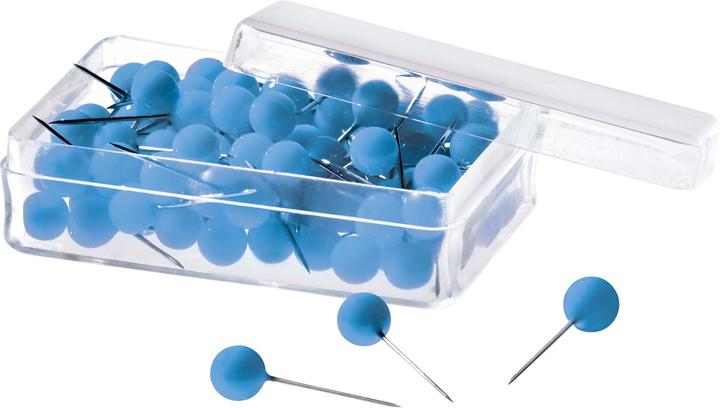 Magnetoplan Pinboard needles (100 Piece, 114 mm)