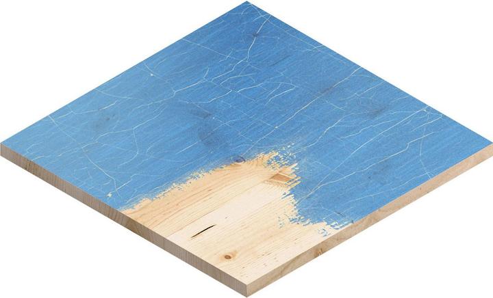 Actual product image Bosch Professional Schleiffolie Expert O780 (60)