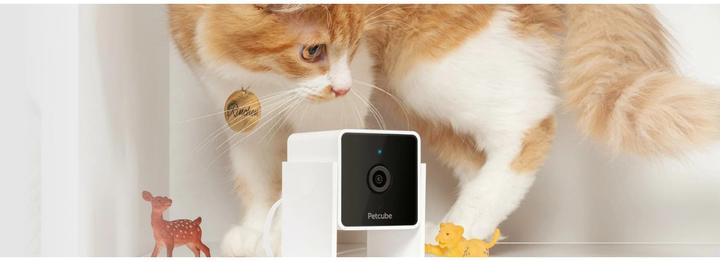 Image du produit Petcube Caméra pour animaux domestiques (Jouets avec herbe à chat)