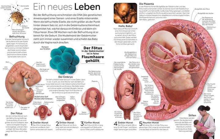 Image du produit memo Wissen. Körper (Allemand, Richard Walker, 2024)
