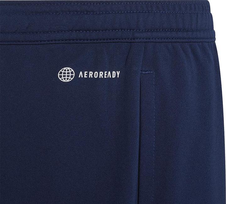 Actual product image adidas Entrada 22 training shorts kids (152)
