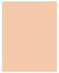 Actual product image MAC Cosmetics Studio Fix - Powder Plus Foundation (No. NC30)