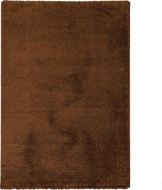 Produktbild Pergamon Hochflor Langflor Teppich Aloha (80 x 150 cm)