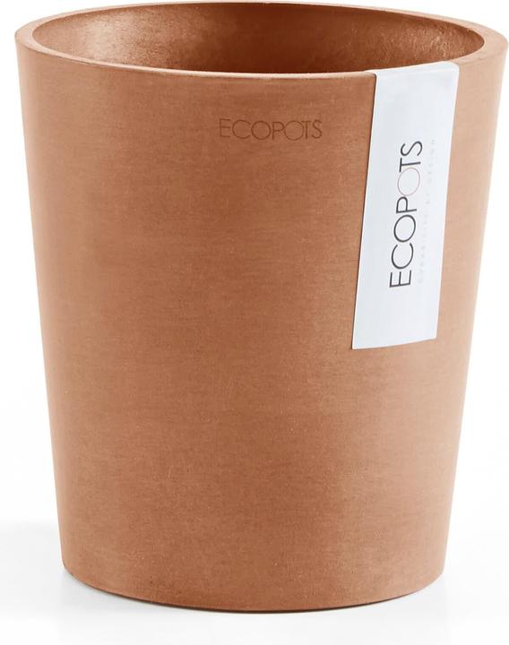 Image du produit Ecopots Morinda