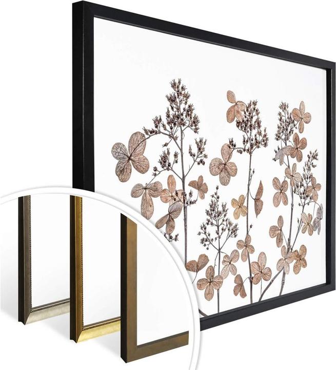 Actual product image Trenddeko Dried flowers (60 x 50 cm)