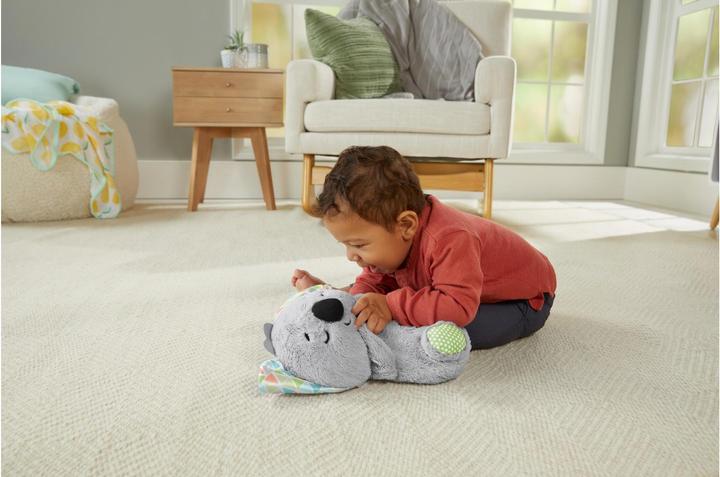 Produktbild Fisher-Price Schlummer-Koala