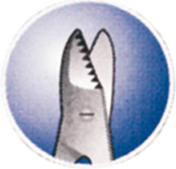 Produktbild Fussnagelschere, 10,5 cm, extra stark, rostfrei
