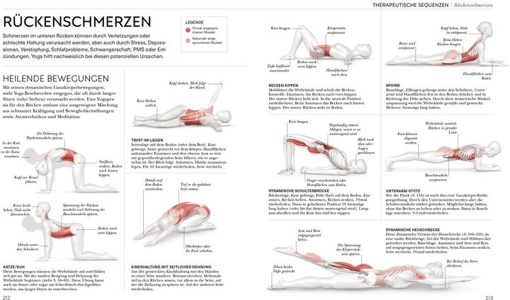 Actual product image Yoga verstehen - Die Anatomie der Yoga-Haltungen (German, Ann Swanson, 2024)