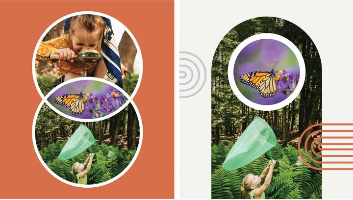 Actual product image Adobe Photoshop Elements 2023/2023/German/Multiple Platforms/Retail/1 User (1 User, unlimited)