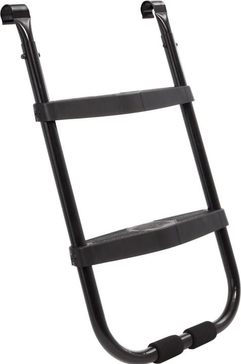 Actual product image BERG Ladder M