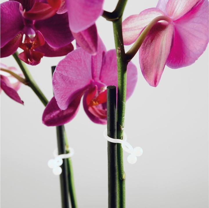 Immagine prodotto Steffen Fascetta D-Line Tidy bianca (Fascette in plastica, 15 mm, 20 pz.)