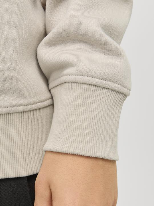 Produktbild Jack & Jones Jjebradley Sweat Half Zip Noos Jnr (164)