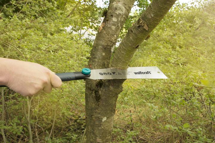 Actual product image wolfcraft Japanese Saw
