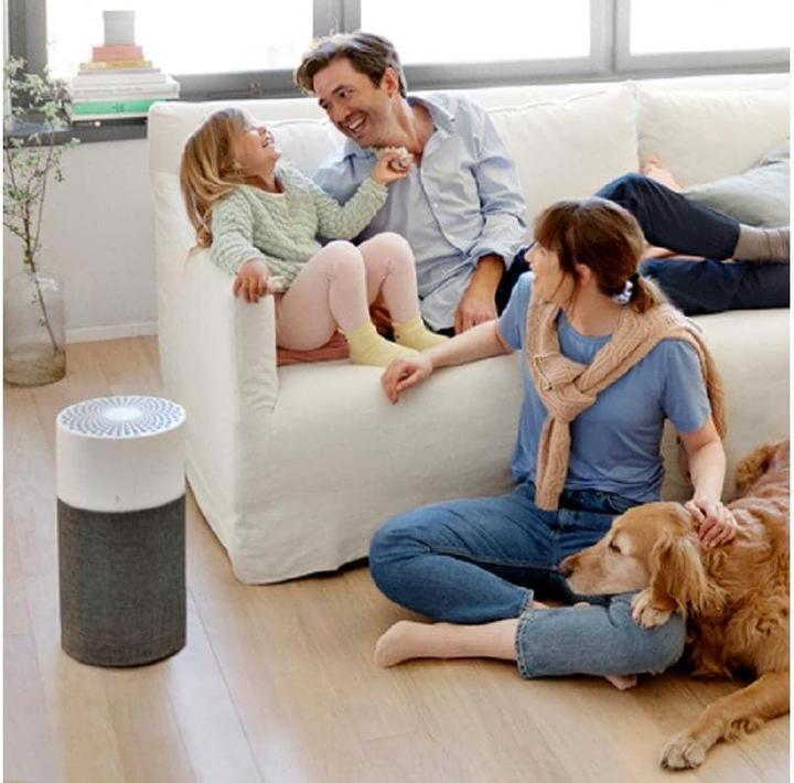 Actual product image Blueair 3410 (36 m²)