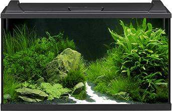 Actual product image Eheim Aquapro 126 (LED, 13 W)
