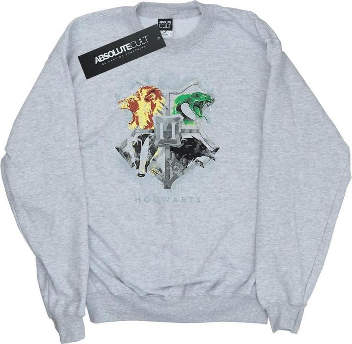 Actual product image Boys Hogwarts Painted Crest Sweatshirt (116)