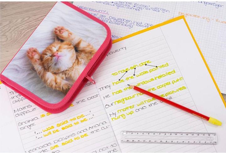 Actual product image EberhardFaber Case cat 42 pieces, Pink