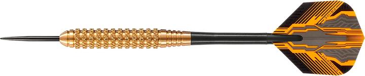Actual product image Harrows Darts Club (24 g)