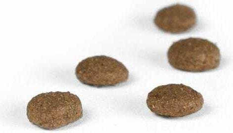 Actual product image Josera Senior (Senior, 1 pcs., 10000 g)