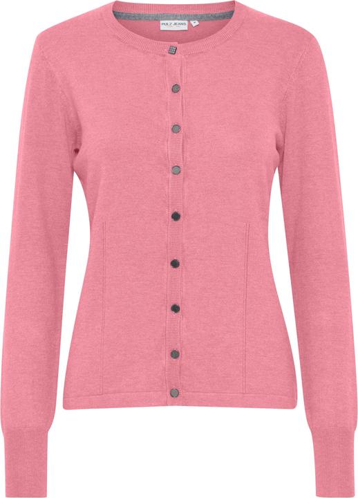 Pink Carnation Melange (1621241)