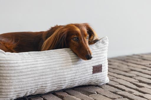 Actual product image Designed by Lotte Lounger bed Ribbed (Dog)