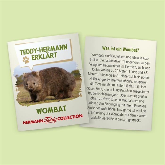Produktbild Teddy Hermann Wombat 26 cm (16 cm)