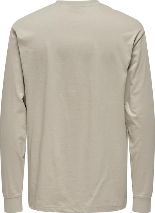 Actual product image Only & Sons Onsfred Life Ls Tee Noos (S)