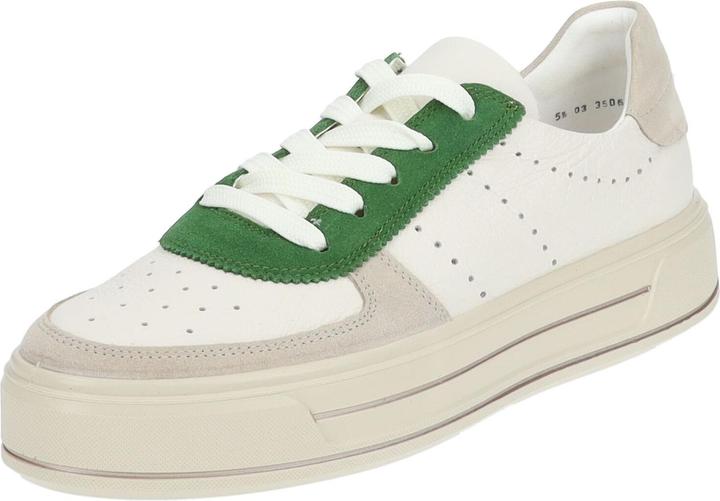 Cream, Shell, Grass 05